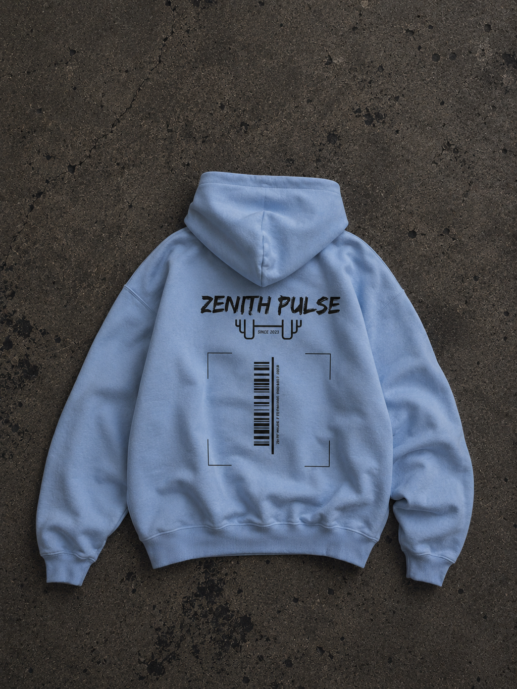 Snapshot hoodie